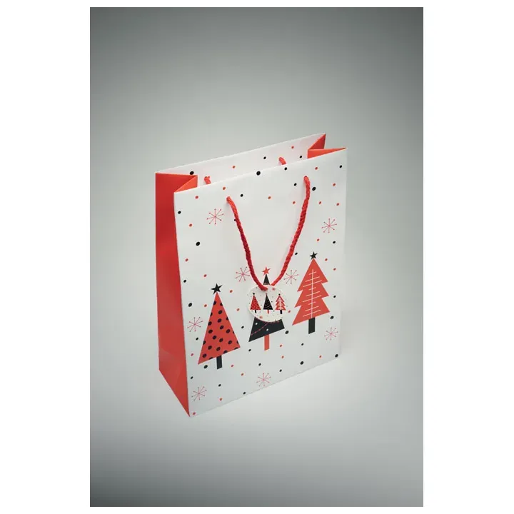 Gift paper bag large - CX1563 (MOCN#06)